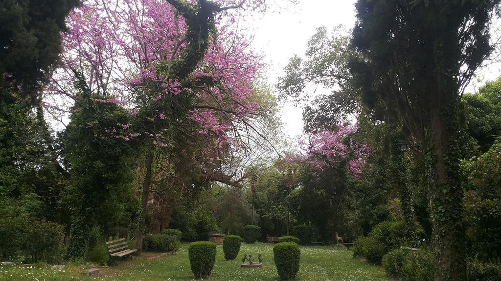 The Villa Averoff Kírinthos Стая снимка
